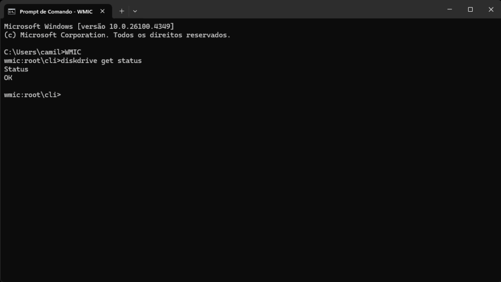 como saber se o ssd está funcionando prompt windows
